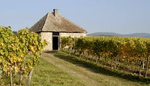 Weingut Prinz von Hessen